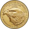 American Gold Eagle 1 oz Reverse Type 2 (Random Dates) WM