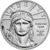 American Platinum Eagle Bullion Coin Obverse Random Year