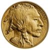 2026 American Gold Buffalo Gold Bullion Coin Obverse